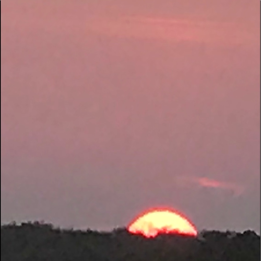 Meet your Posher, Mia